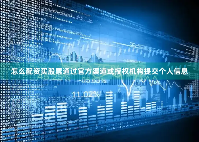 怎么配资买股票通过官方渠道或授权机构提交个人信息