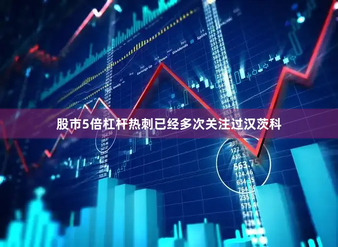 股市5倍杠杆　　热刺已经多次关注过汉茨科